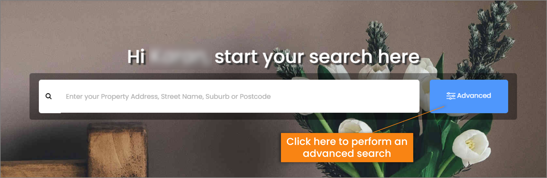 Advanced search button propertyhub.png